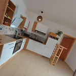 Apartment Haus Sonberg Mit Garten, Pool, Fasssauna, Semi Detached House With Garden