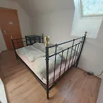Haus Sonberg Mit Garten, Pool, Fasssauna, Semi Detached House With Garden * Deutschlandsberg