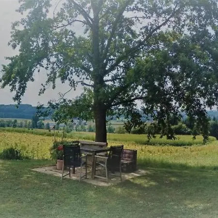 Haus Sonberg Mit Garten, Pool, Fasssauna, Semi Detached House With Garden 公寓 德意志兰茨贝格