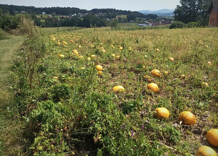 דירה Haus Sonberg Mit Garten, Pool, Fasssauna, Semi Detached House With Garden