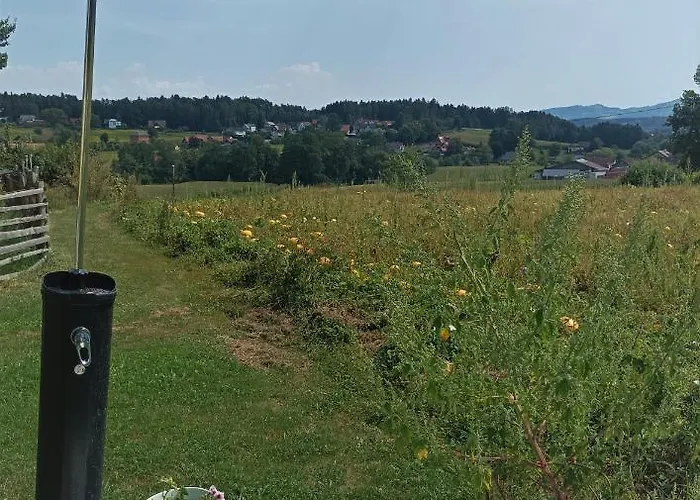 דירה Haus Sonberg Mit Garten, Pool, Fasssauna, Semi Detached House With Garden *